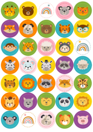 Beloningssysteem Jungle met Stickers  en verkleurende plasstickers - verpakt voor winkelverkoop