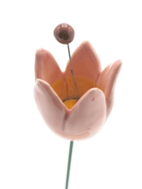 Tulp bloem Keramiek - Roze