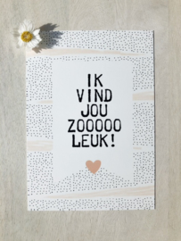 Ik vind jou zooooo leuk!