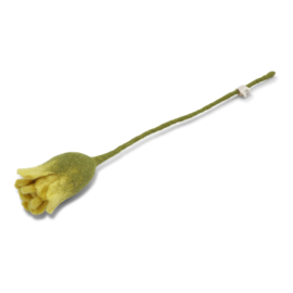 Viltbloem Tulp lichtgeel
