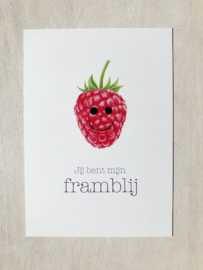 Jij bent mijn framblij
