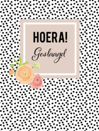 Hoera geslaagd!