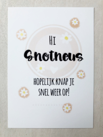 Hi snotneus