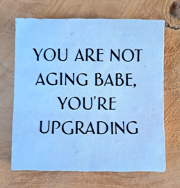 Tegel not aging