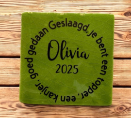 Tegel geslaagd Groen/zwart