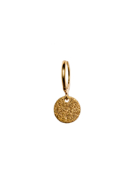 Golden sparkle coin earring