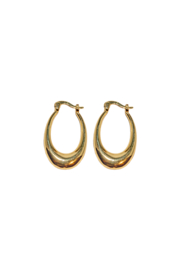 Golden big oval hoops