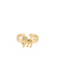 Zodiac ring - Leo