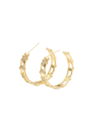 Golden Moon & Star hoops