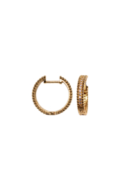 Golden classic glitter hoops