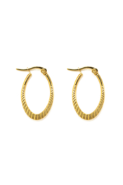 Golden oval special hoops