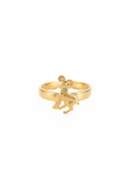 Zodiac ring - Capricorn