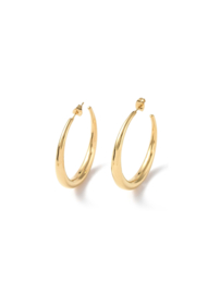 Golden ring stud hoops