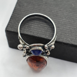 Bijzondere ring