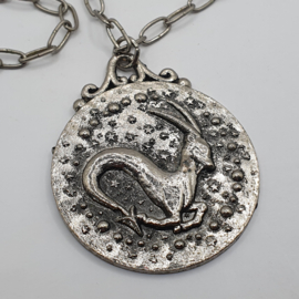 Sterrenbeeld aan ketting VERKOCHT