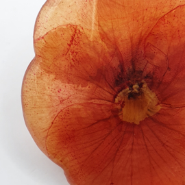 Broche met echte bloem VERKOCHT