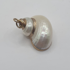 Schelp hanger