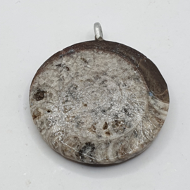 Fossiele Ammoniet hanger