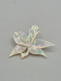 Parelmoer broche
