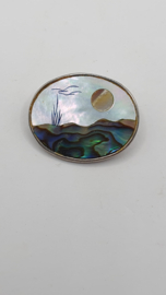Kleine Albalone broche VERKOCHT
