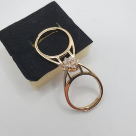 Omkeerbare ring VERKOCHT