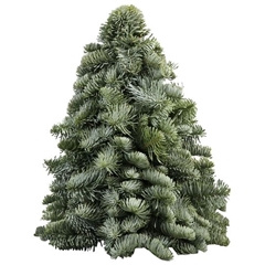 Nobilis Kerstboom 40cm vers