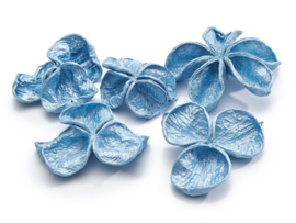 Landlotus pearl blue 10stuks