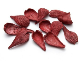 Arti pods frosted red 10stuks