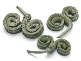 Palm male ring frosted mossgreen 15stuks
