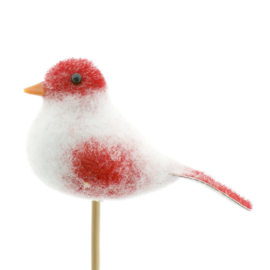 Vogel Lisa 8,5cm op 50cm stok rood 15stuks