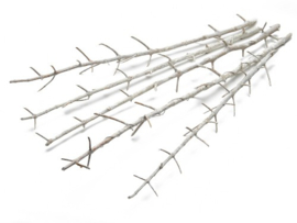 Ladder stick 100cm frosted white 5stuks