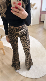 FLAIR BROEK PANTER| DENISE