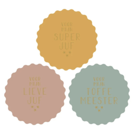 Stickers ribbel Juf Meester - multi colour - 3 stuks