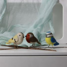 Mini vogeltjes