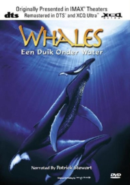 Whales (dvd tweedehands film)