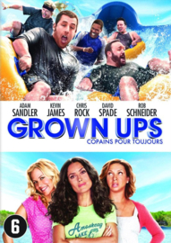 Grown ups 2010 (dvd tweedehands film)