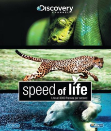 Speed of Life (blu-ray tweedehands film)