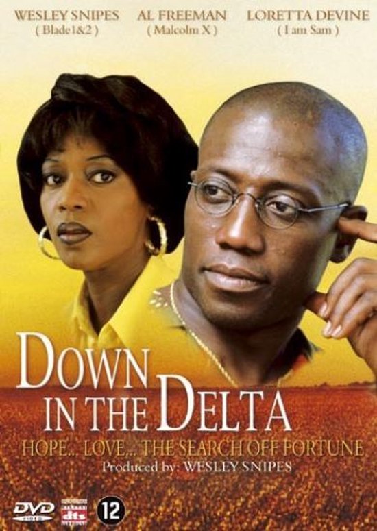Down in the delta (dvd nieuw)