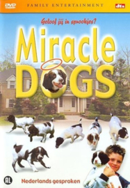 Miracle dogs (dvd tweedehands film)