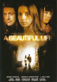 a Beautiful Life (dvd tweedehands film)