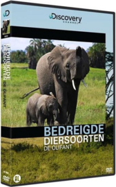 Bedreigde Diersoorten - De Olifant (dvd tweedehands film)