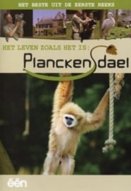 Het leven zoals het is Planckendael (dvd tweedehands film)