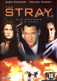 The stray (dvd tweedehands film)