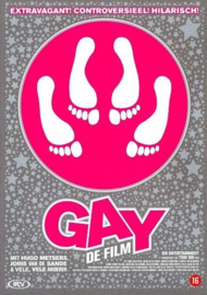 Gay de film (dvd tweedehands film)