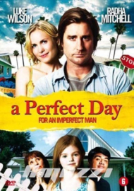 A Perfect Day (dvd tweedehands film)