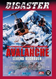 Avalanche 2004 (dvd tweedehands film)