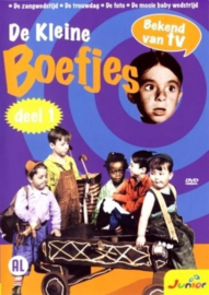 De Kleine boefjes deel 1 (dvd tweedehands film)