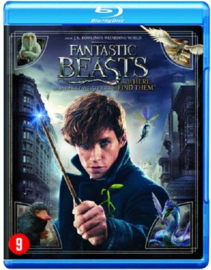 Fantastic Beasts and where to find them (blu-ray tweedehands film)