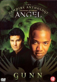Angel - Gunn (dvd tweedehands film)