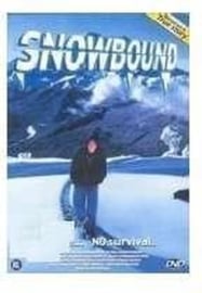 Snowbound (dvd tweedehands film)